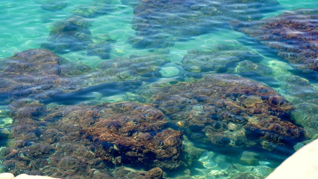 Apartamentos Starnerja En Stella Maris Εξωτερικό φωτογραφία