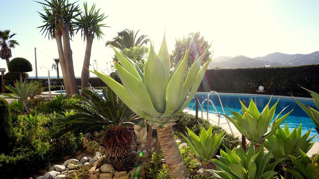 Apartamentos Starnerja En Stella Maris Δωμάτιο φωτογραφία