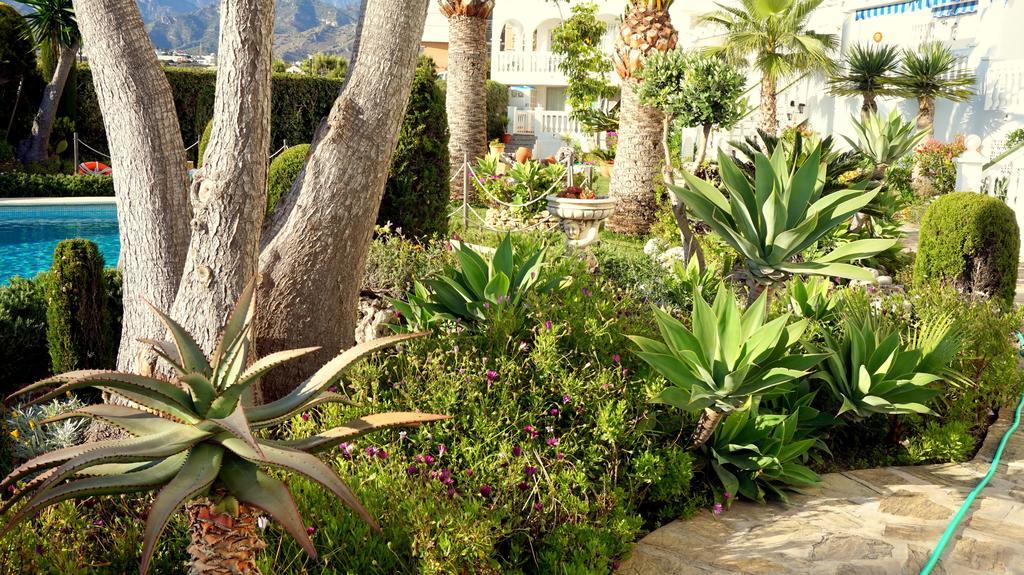 Apartamentos Starnerja En Stella Maris Δωμάτιο φωτογραφία